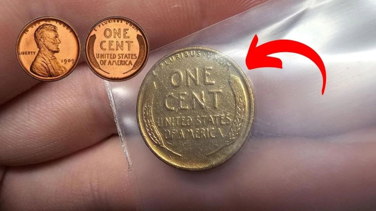 The Quest for the $1.9 Million Lincoln Wheat Penny